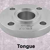 Forged Tongue and Groove Face Flange